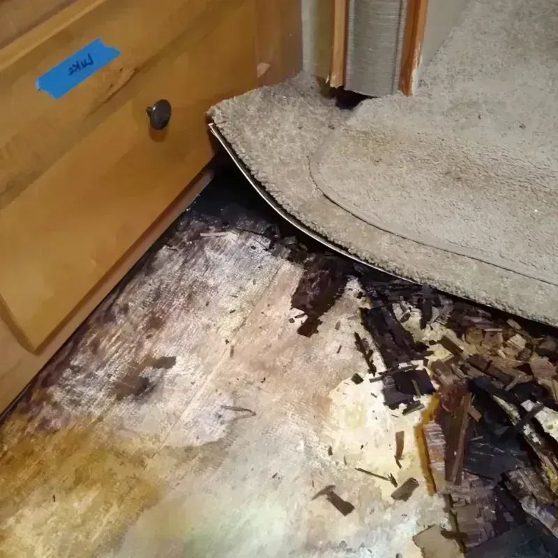 Wood Floor Water Damage in Ashland, NJ